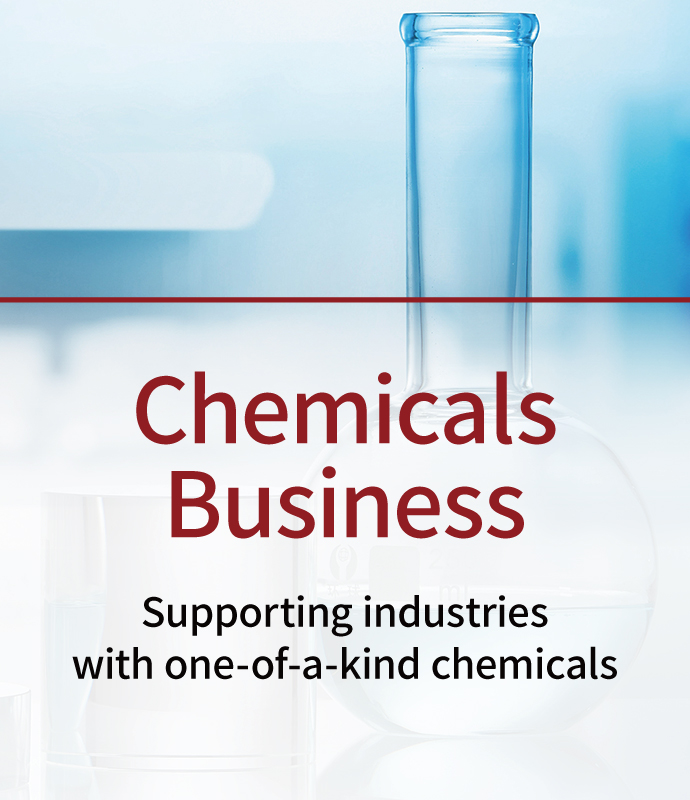 Chemicals Business