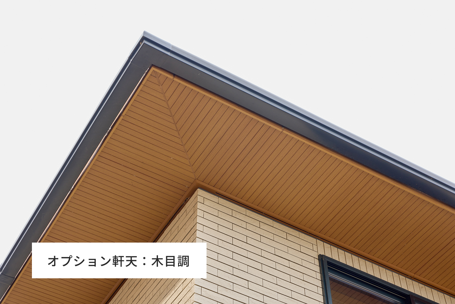 オプション軒天：木目調