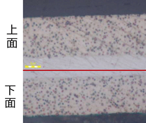 断面研磨像